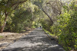  Photo 30