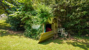  Photo 24