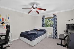  Photo 32