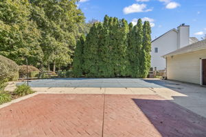 Back View