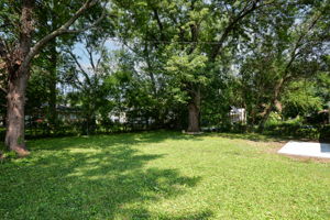  Photo 36