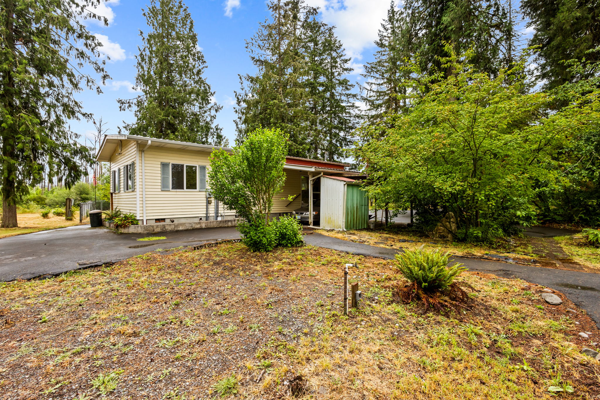 Shoreline Drive2