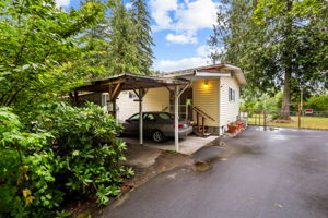 Shoreline Drive3