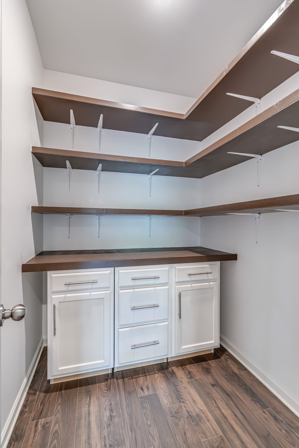 Walk-in pantry has custom cabinetry & shelving