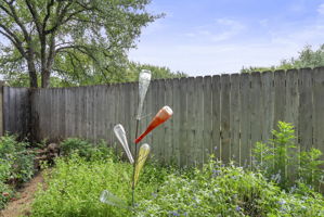  Photo 49