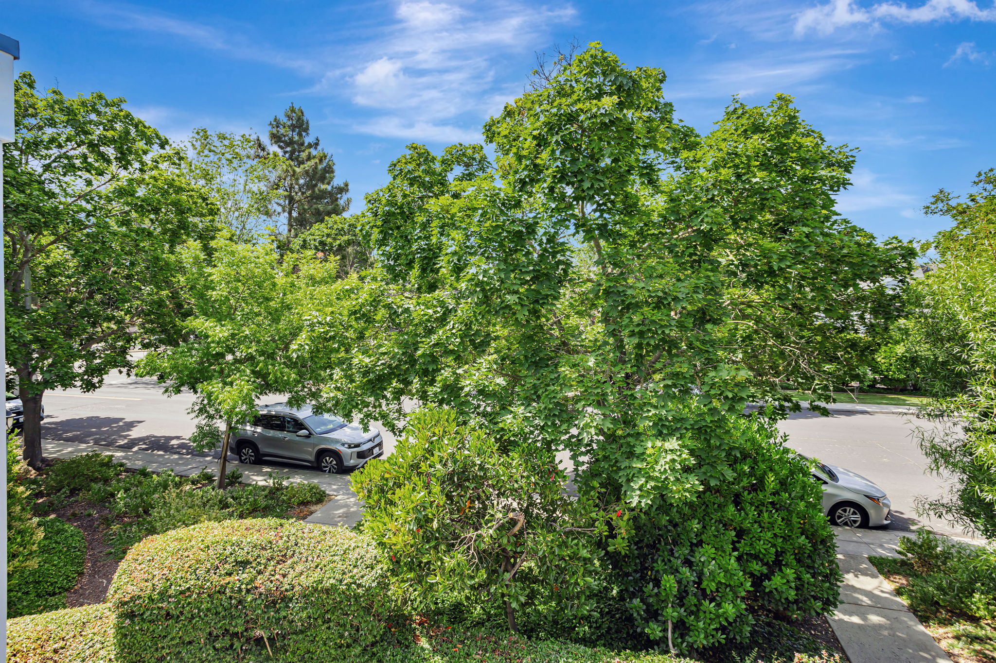 047_407 Mountain Laurel Ct