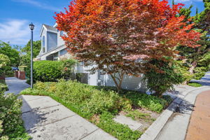005_407 Mountain Laurel Ct