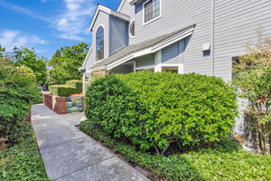 006_407 Mountain Laurel Ct