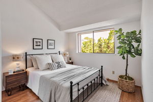 033_407 Mountain Laurel Ct