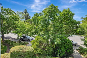 047_407 Mountain Laurel Ct