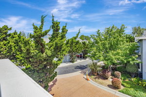 050_407 Mountain Laurel Ct