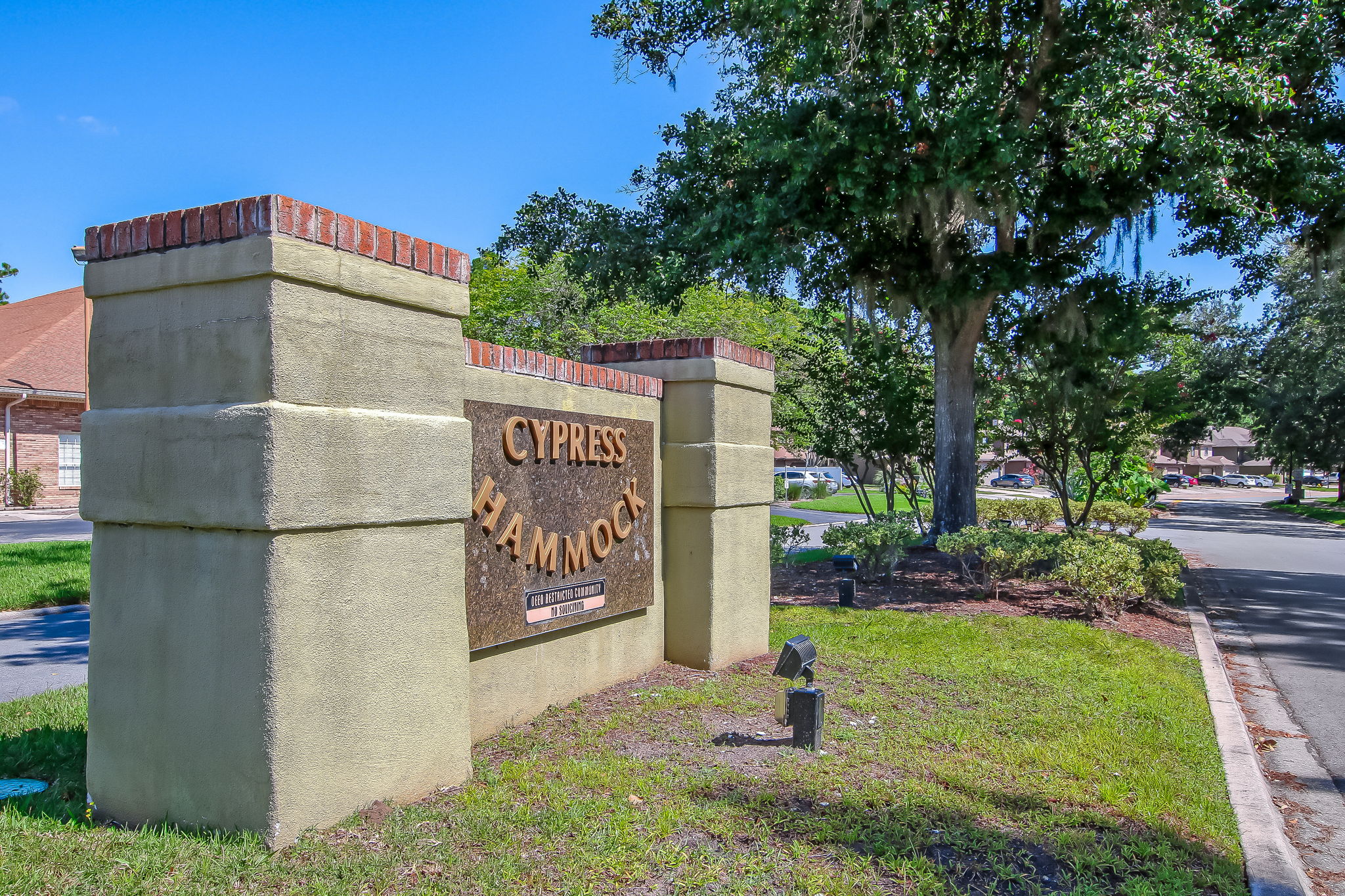 Cypress Hammock