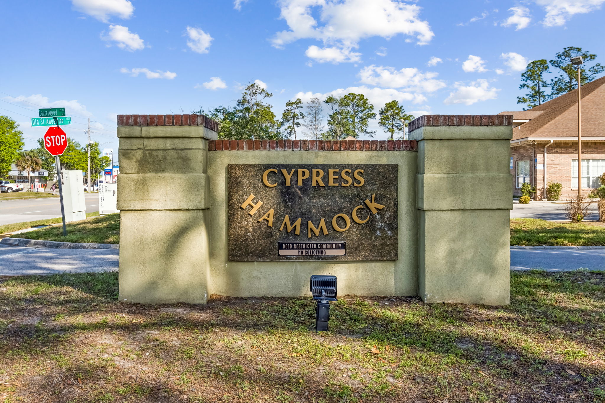Cypress Hammock