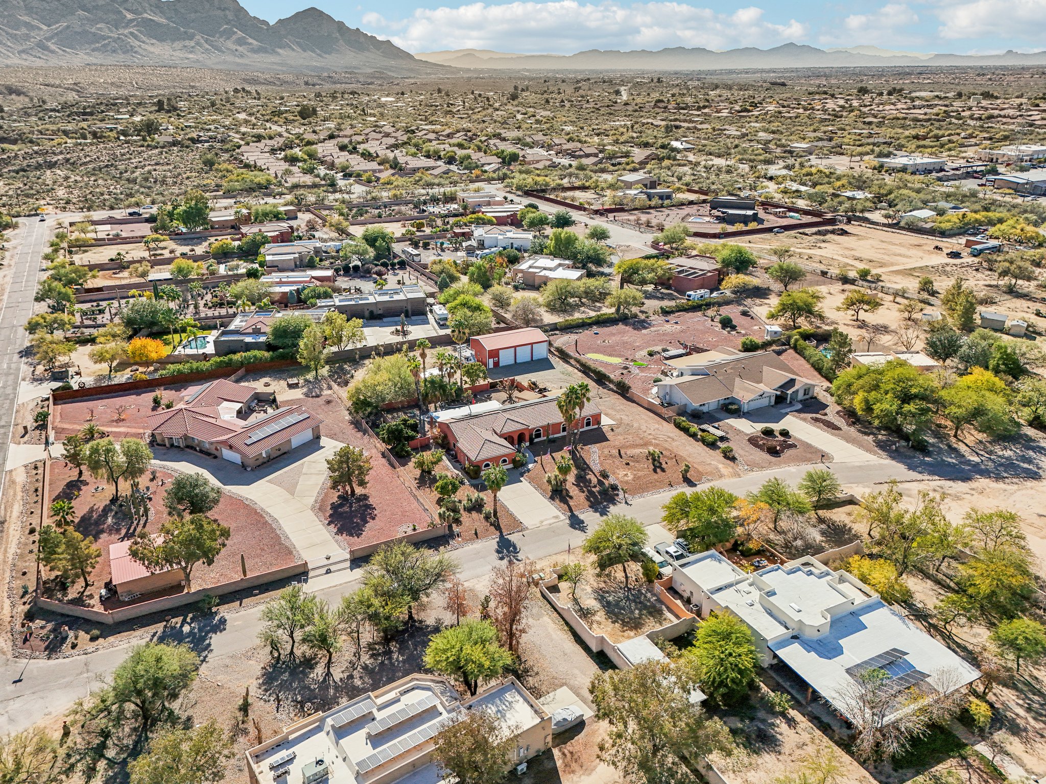 E Adams Rib Pl-S2312-004.jpg