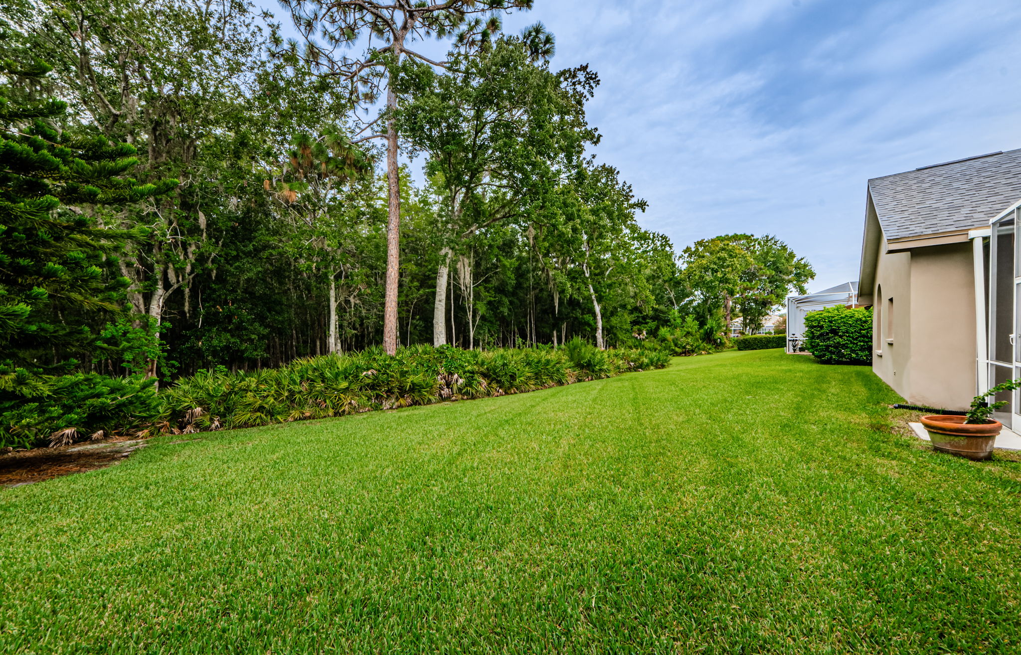 Backyard 5