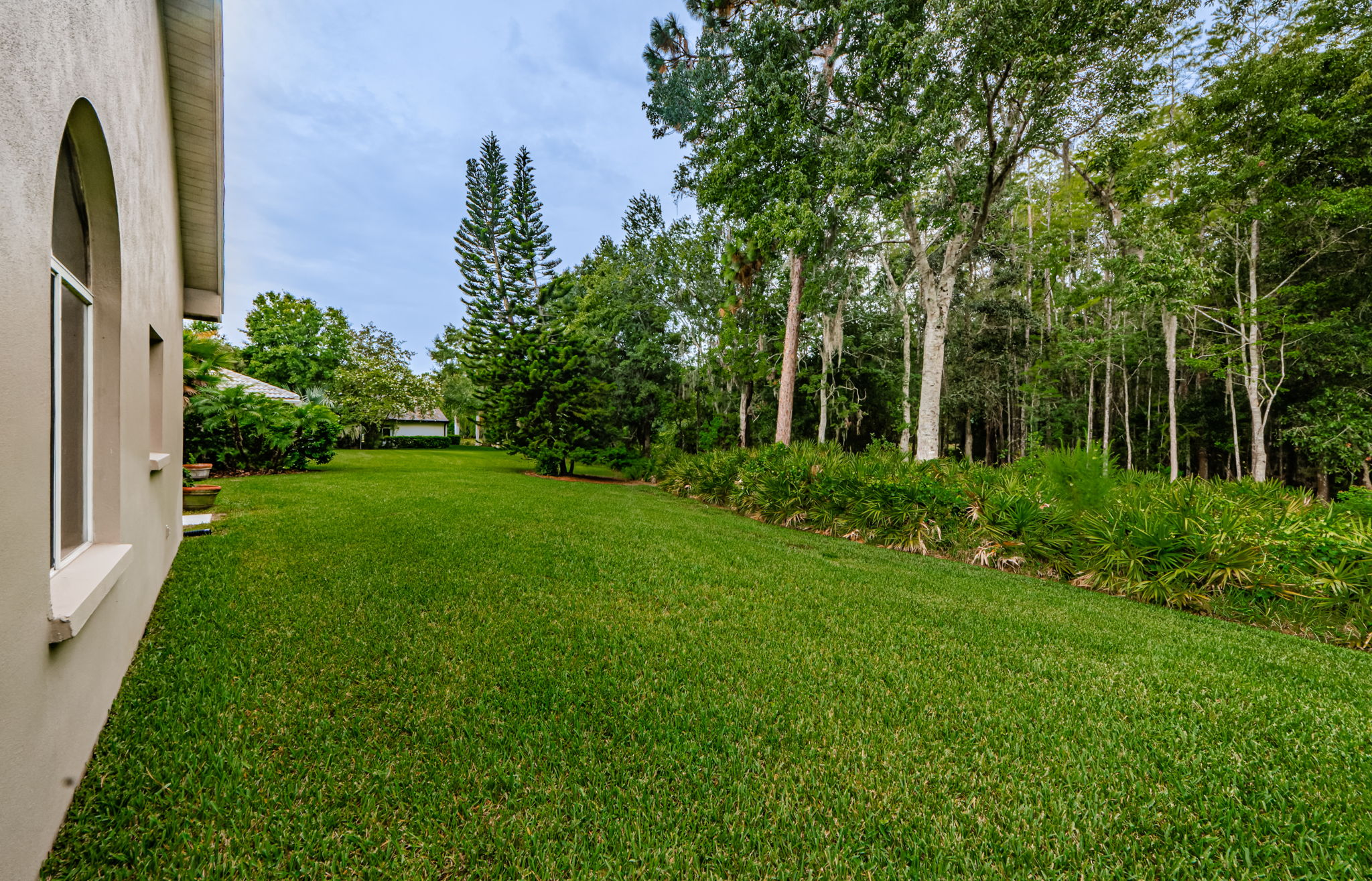 Backyard 1