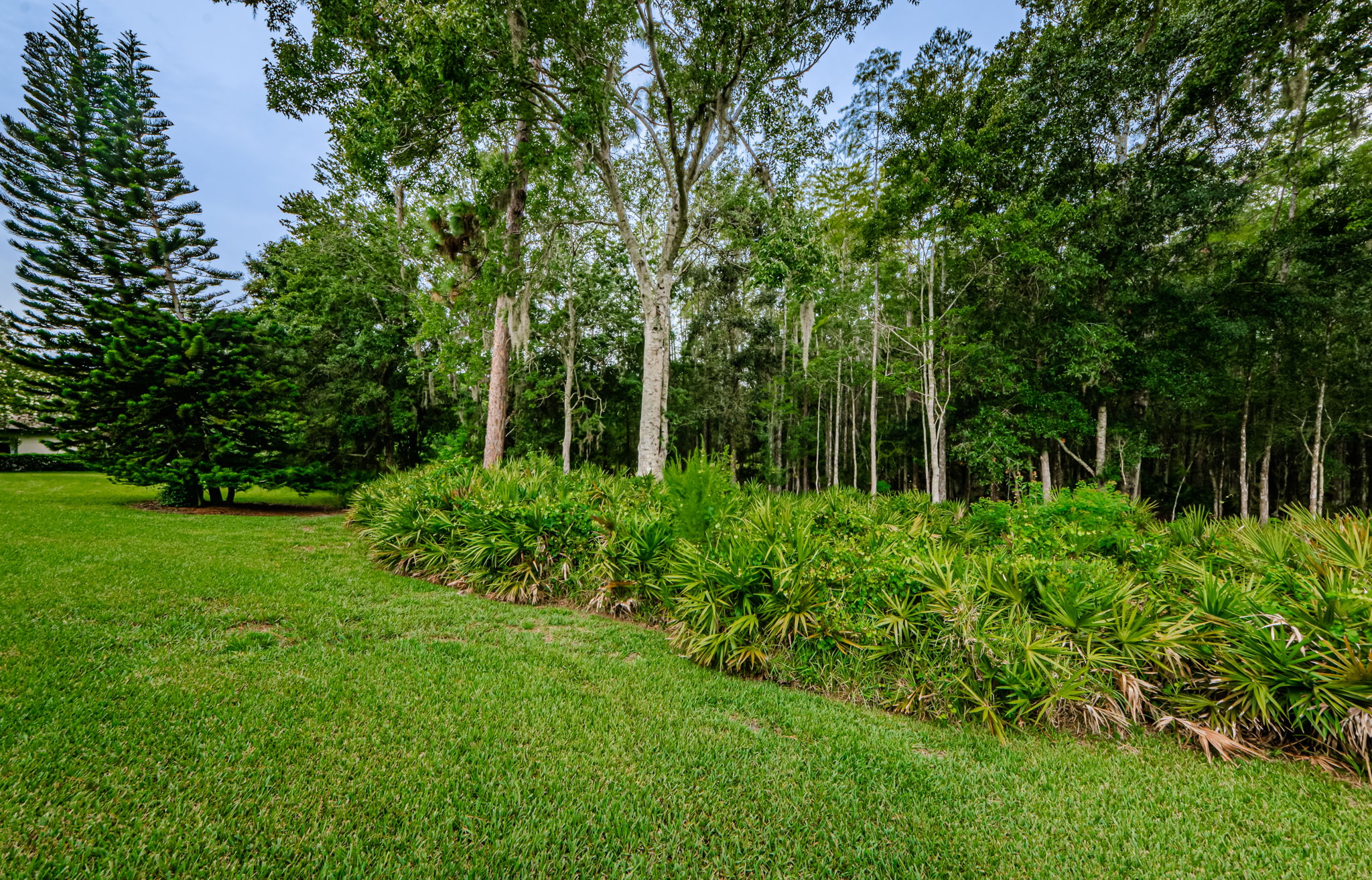 Backyard 2