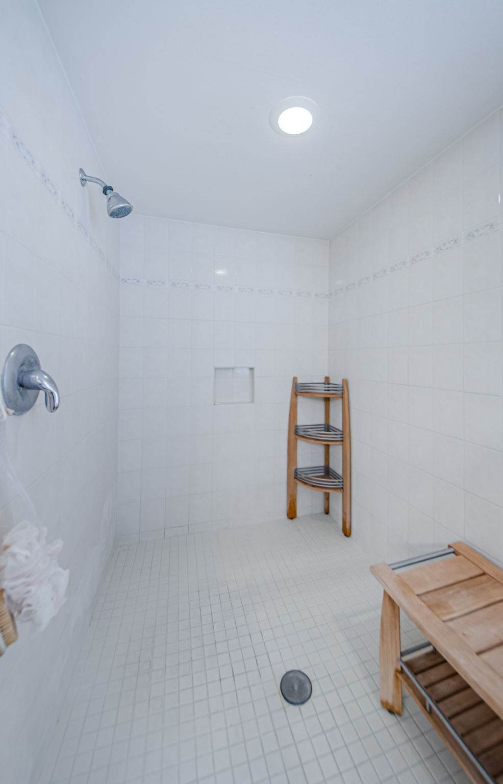 Master Bathroom 1c