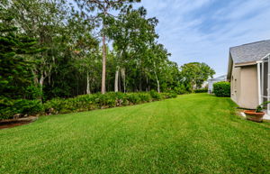 Backyard 5