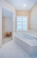 Master Bathroom 1b