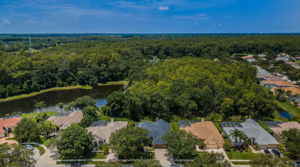 DJI_0858