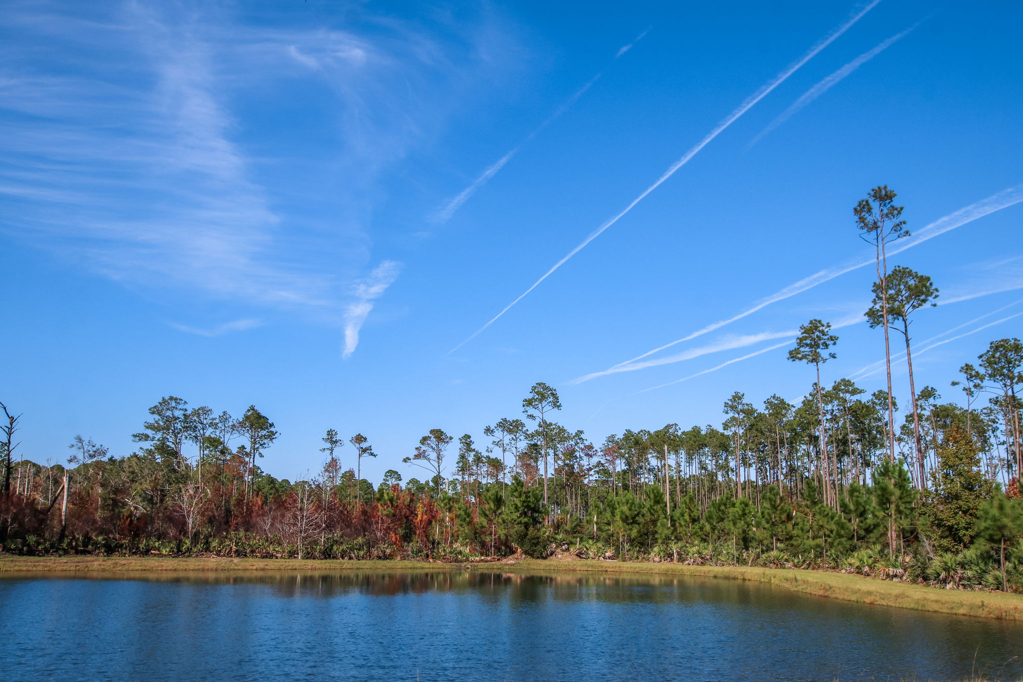 Nocatee Kayak Launch