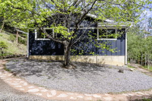  Photo 48