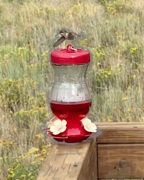 408 Navajo Rd, Red Feather Lakes, CO 80545, USA Photo 32
