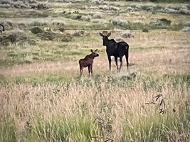 408 Navajo Rd, Red Feather Lakes, CO 80545, USA Photo 35