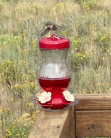 408 Navajo Rd, Red Feather Lakes, CO 80545, USA Photo 31