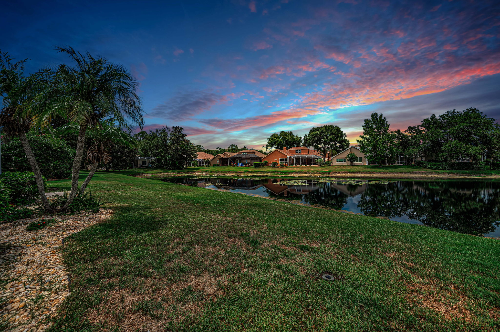 Backyard1