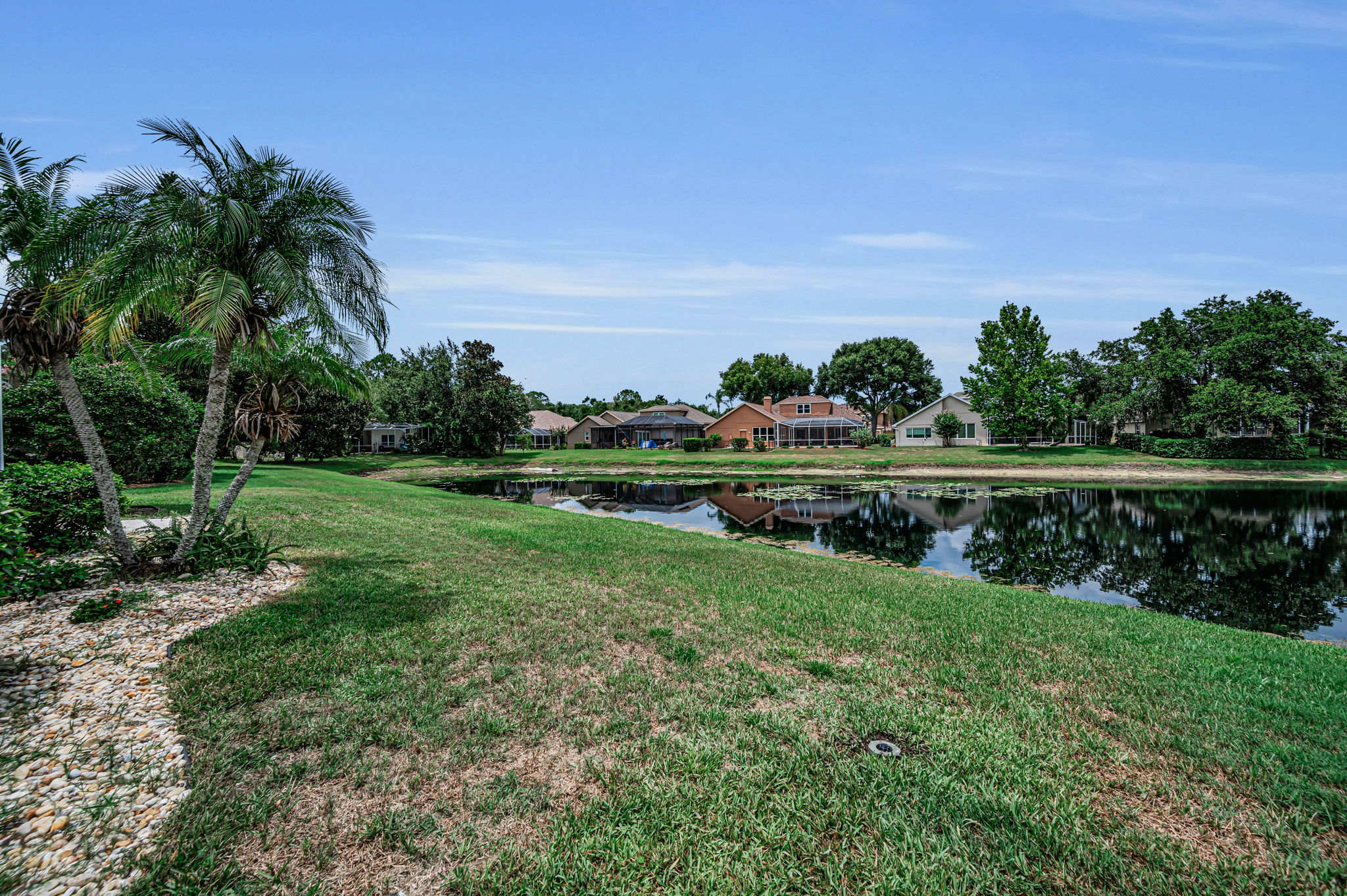 Backyard1