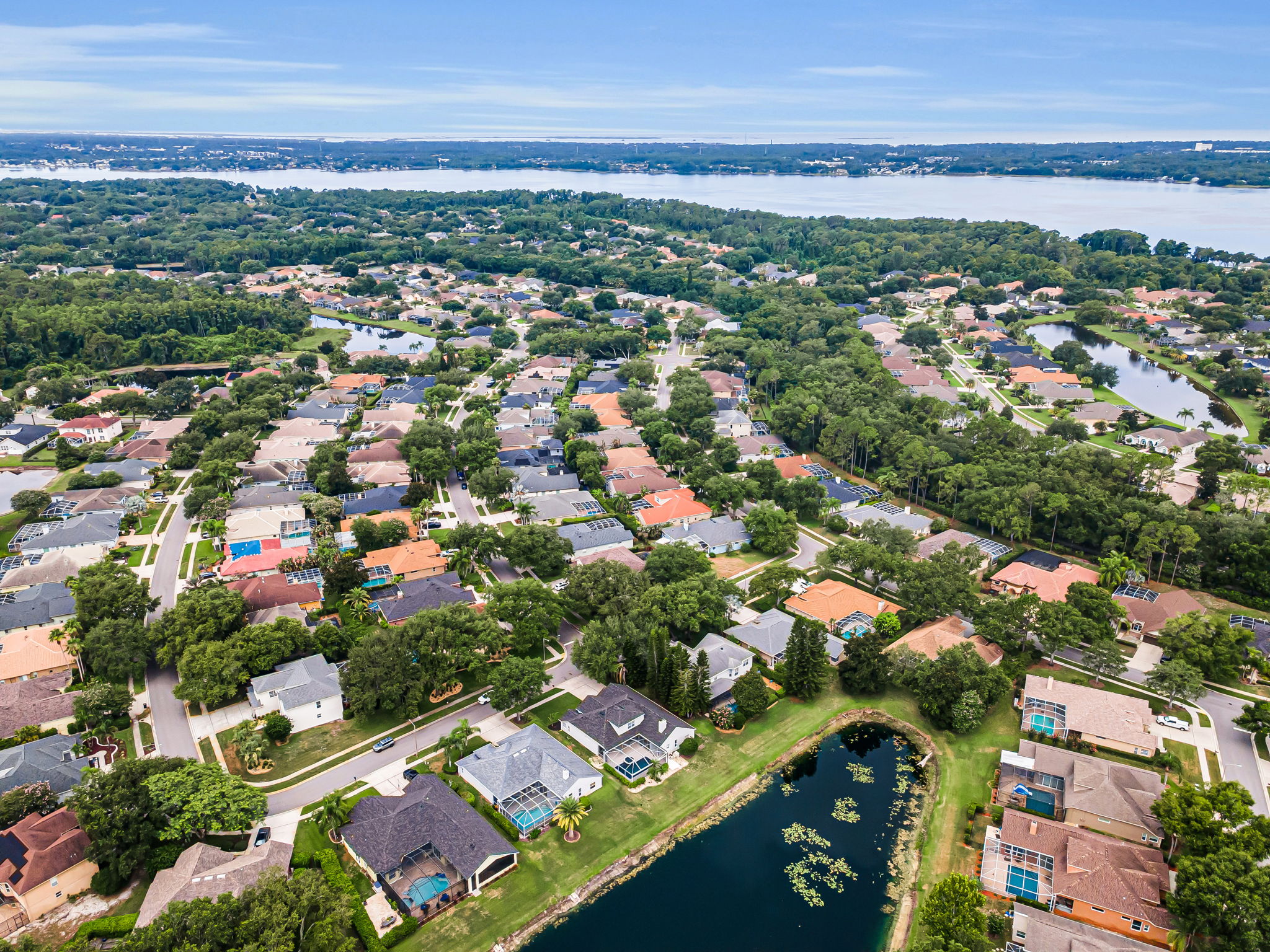 Aerial (9)