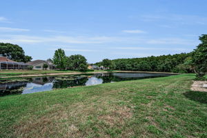 Backyard5