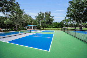 20-Pickle Ball Courts