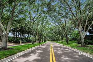 34-Tree lined Streets