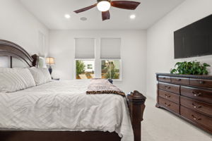 Primary Bedroom 3