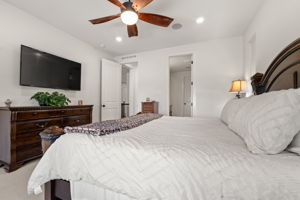 Primary Bedroom 4