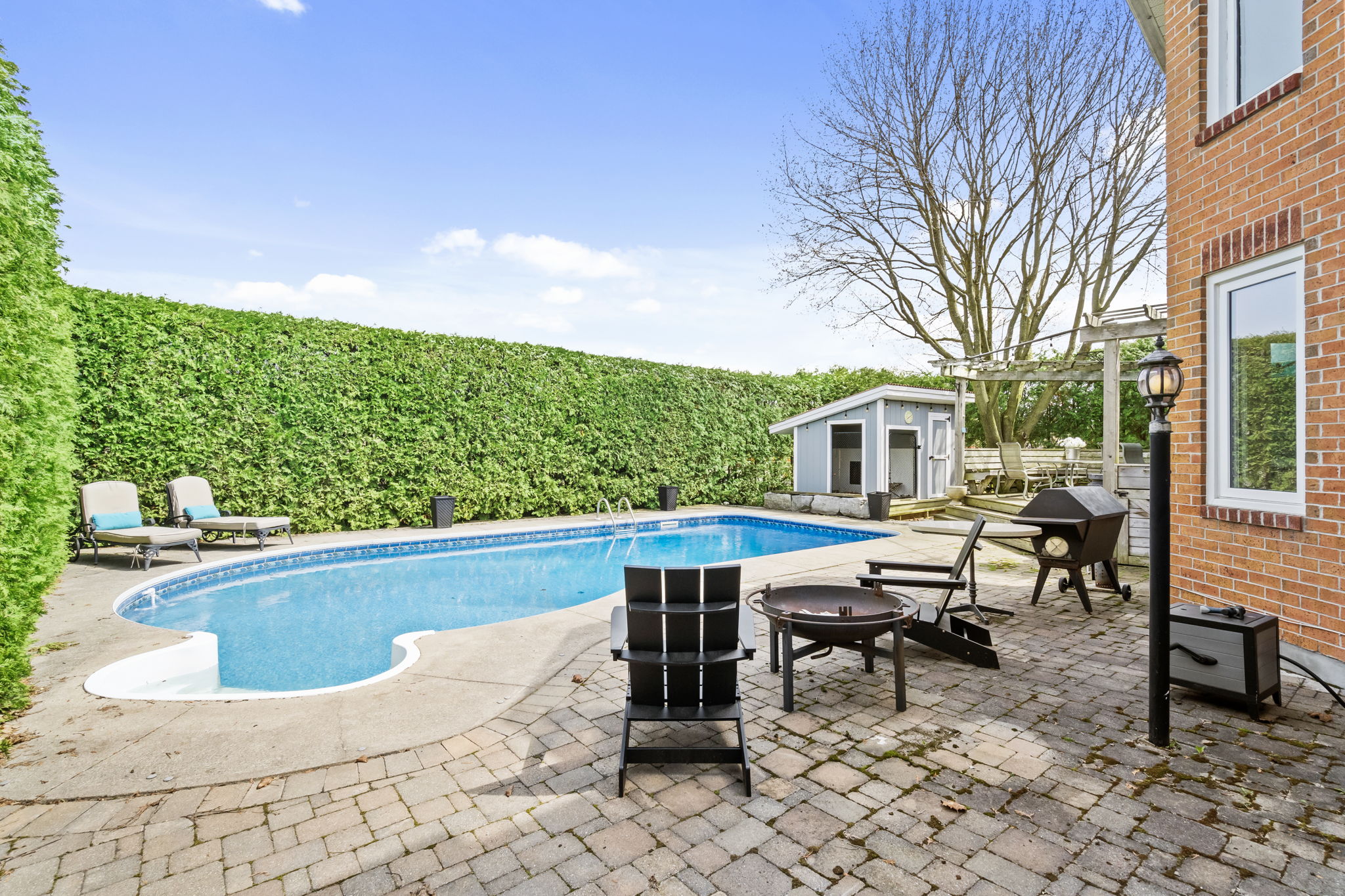 Exterior - Backyard
