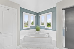 Primary Bathroom - jacuzzi tub