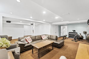 Finished Basement - rec space