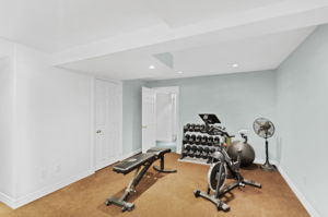 Finished Basement - rec space