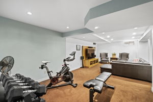 Finished Basement - rec space