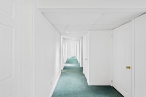 Finished Basement - hallway