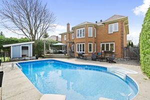 Exterior - Backyard pool & outdoor kennel & shed