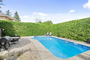 Exterior - Backyard with 10ft privacy hedges