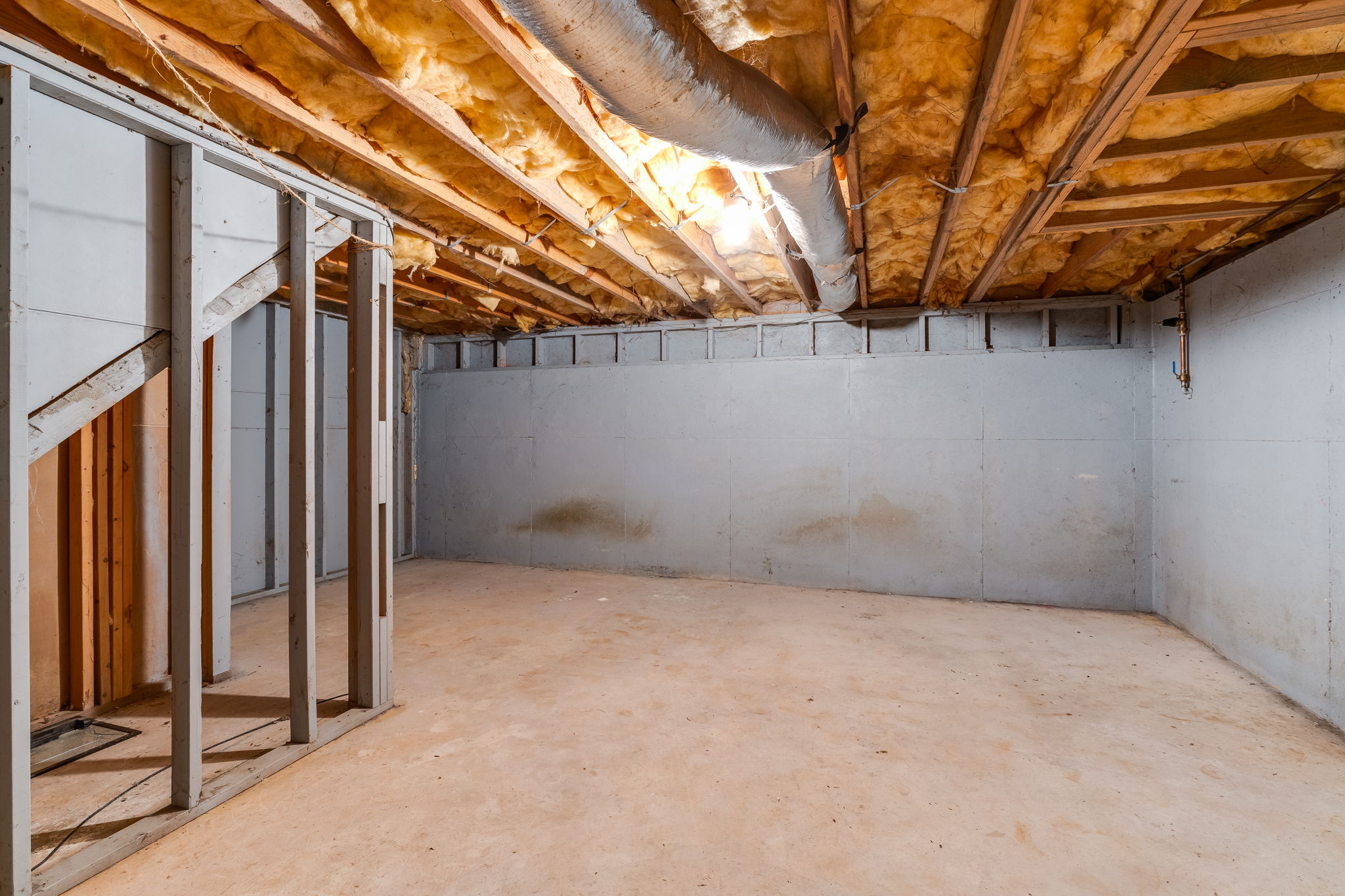 mppmedia409benjamindr21