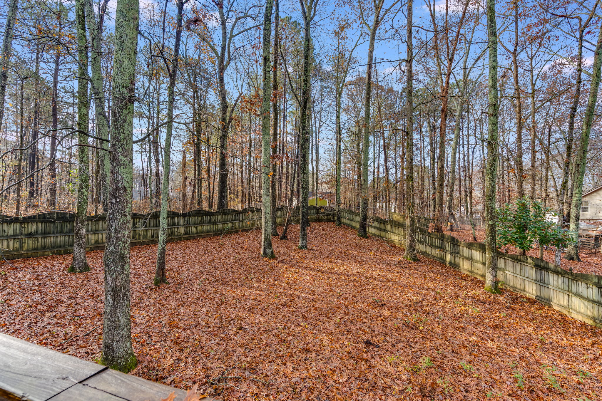 mppmedia409benjamindr22