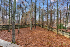 mppmedia409benjamindr22