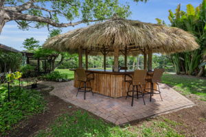 Tiki Hut2
